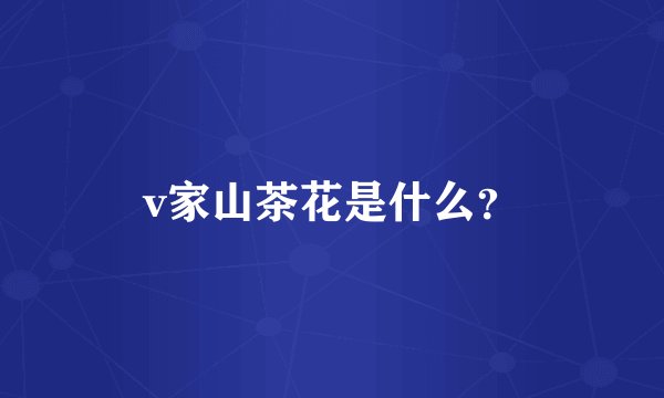 v家山茶花是什么？