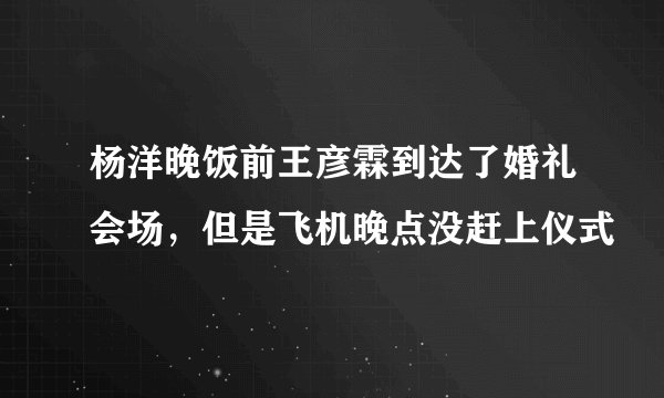 杨洋晚饭前王彦霖到达了婚礼会场，但是飞机晚点没赶上仪式