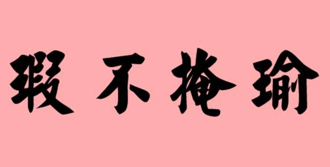 瑕不掩瑜的意思