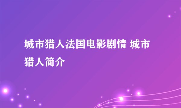 城市猎人法国电影剧情 城市猎人简介