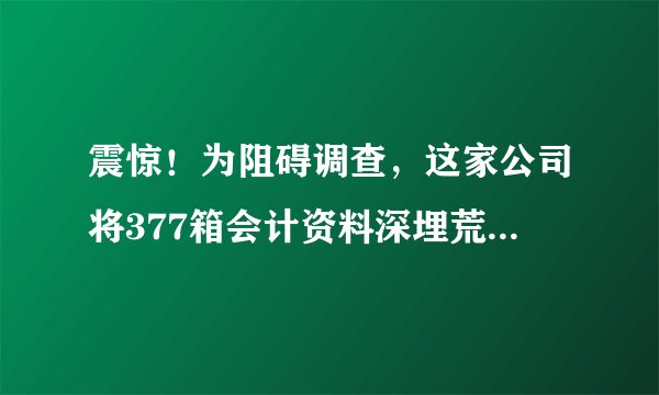 震惊！为阻碍调查，这家公司将377箱会计资料深埋荒坡丨极刻