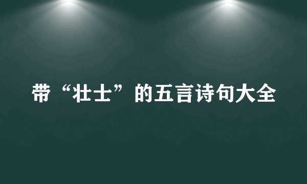 带“壮士”的五言诗句大全