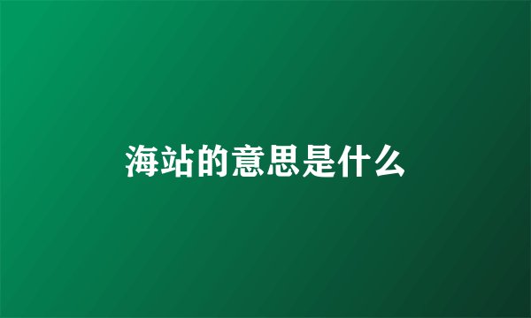 海站的意思是什么
