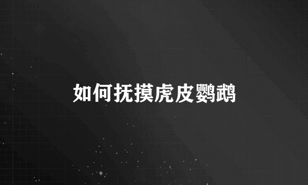 如何抚摸虎皮鹦鹉