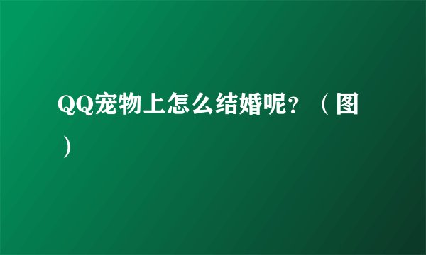 QQ宠物上怎么结婚呢？（图）