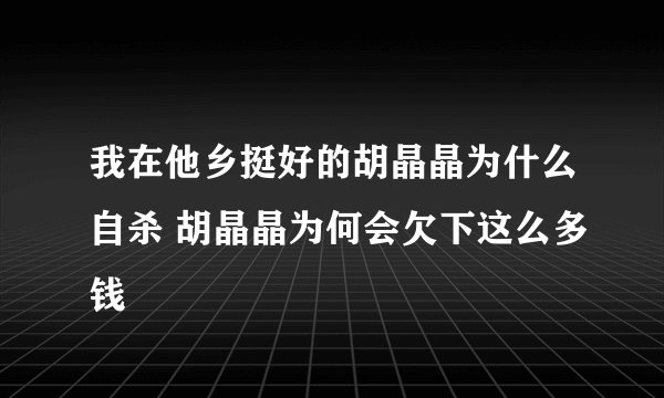 我在他乡挺好的胡晶晶为什么自杀 胡晶晶为何会欠下这么多钱
