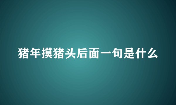 猪年摸猪头后面一句是什么