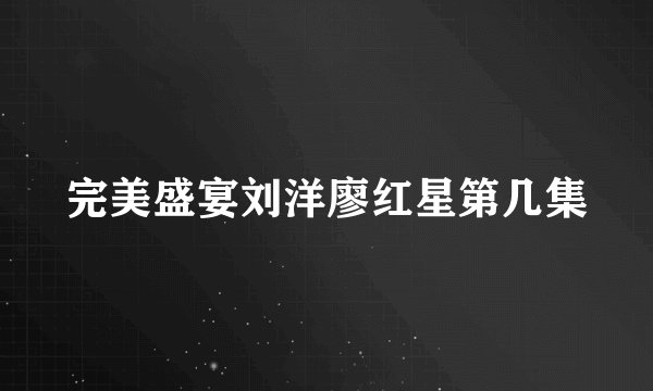 完美盛宴刘洋廖红星第几集