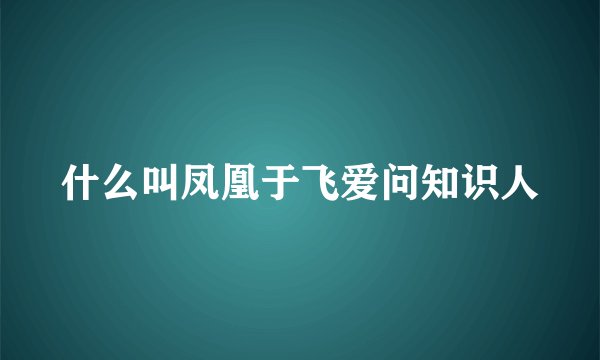 什么叫凤凰于飞爱问知识人