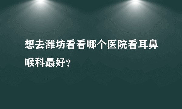 想去潍坊看看哪个医院看耳鼻喉科最好？