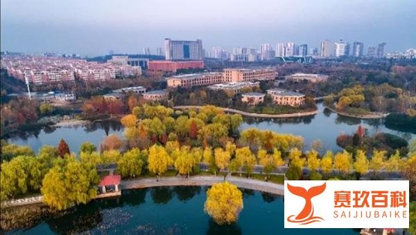 90年代，平顶山市3所中师学校：平顶山师范、临汝、舞钢师范