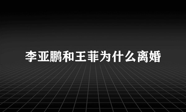 李亚鹏和王菲为什么离婚