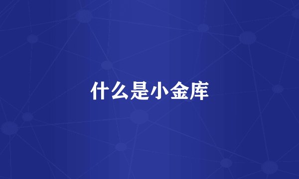 什么是小金库