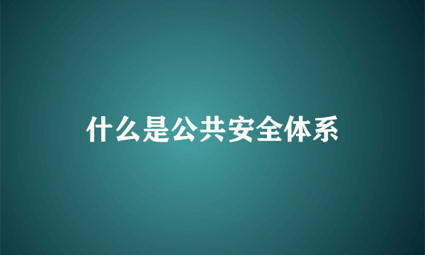 什么是公共安全体系