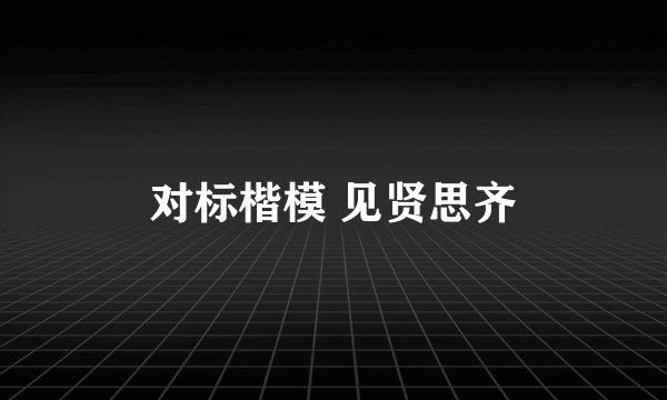 对标楷模 见贤思齐