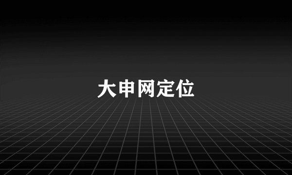 大申网定位