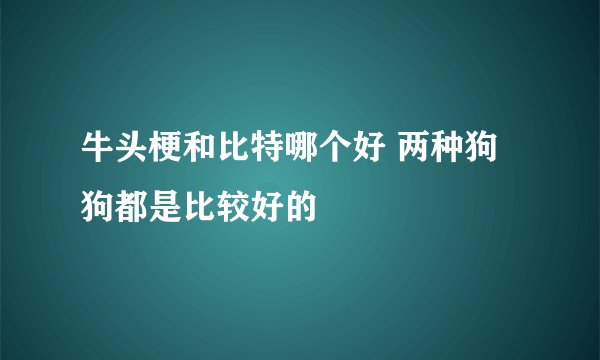 牛头梗和比特哪个好 两种狗狗都是比较好的