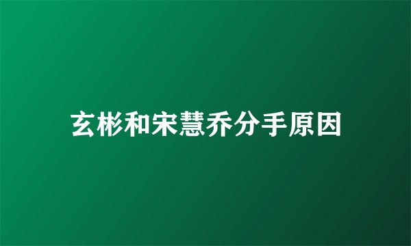 玄彬和宋慧乔分手原因
