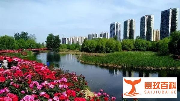 90年代，平顶山市3所中师学校：平顶山师范、临汝、舞钢师范