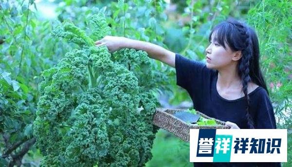 火遍全球、央视点赞、年入五千万的李子柒：我的福报来自这一点！