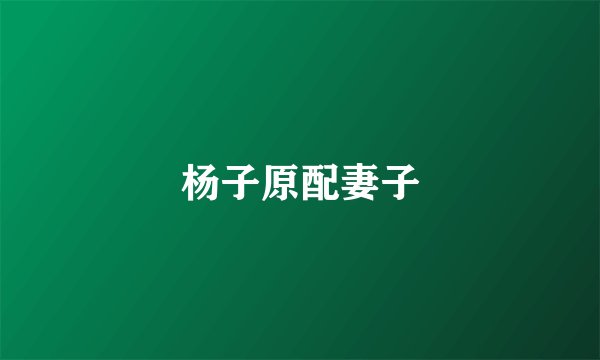 杨子原配妻子