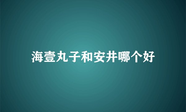 海壹丸子和安井哪个好