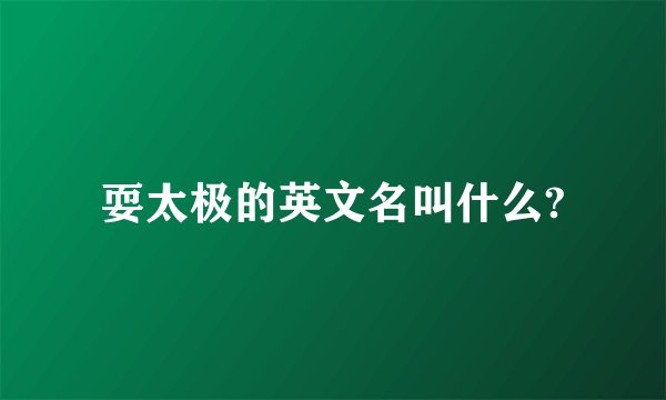 耍太极的英文名叫什么?
