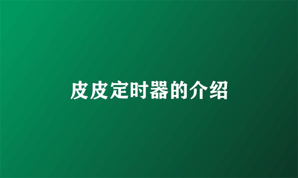皮皮定时器的介绍