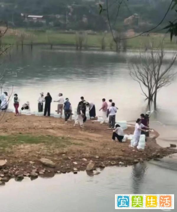 有人江边放生鱼豆腐?水务局回应:当地的传统,之后会加强管理!