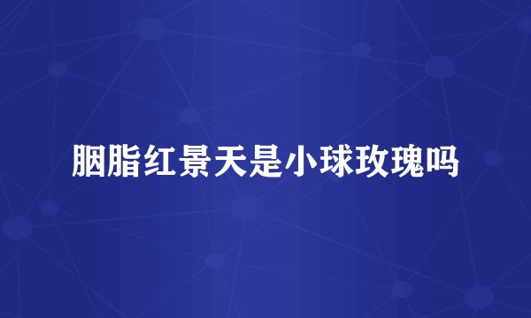 胭脂红景天是小球玫瑰吗