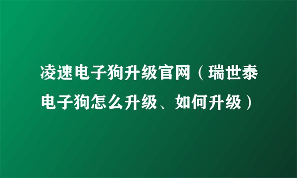 凌速电子狗升级官网（瑞世泰电子狗怎么升级、如何升级）