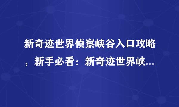 新奇迹世界侦察峡谷入口攻略，新手必看：新奇迹世界峡谷入口攻略