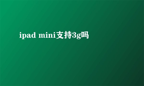 ipad mini支持3g吗