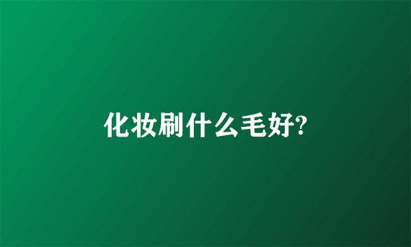 化妆刷什么毛好?