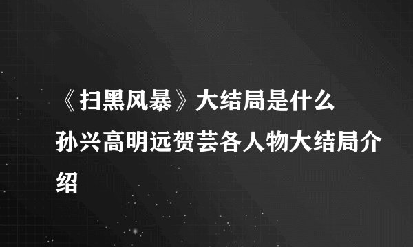 《扫黑风暴》大结局是什么 孙兴高明远贺芸各人物大结局介绍