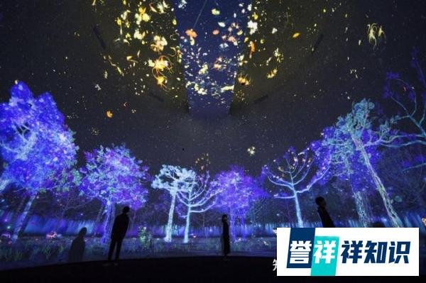 列车里飘出浓浓年味,全息投影助力呈现乡村振兴新图景