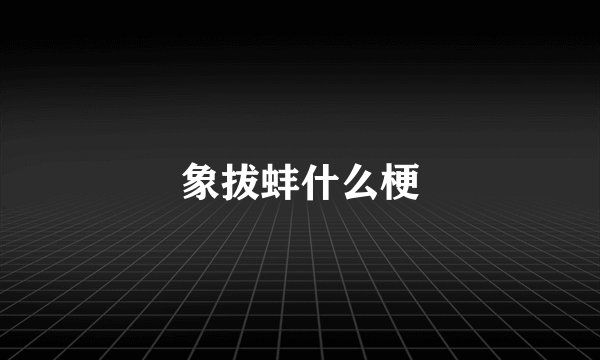象拔蚌什么梗