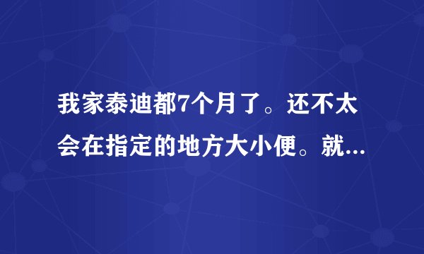 我家泰迪都7个月了。还不太会在指定的地方大小便。就会简单的坐和给左右手，我想问怎么才能好好训练他呢，