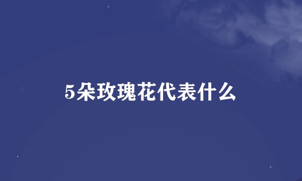 5朵玫瑰花代表什么