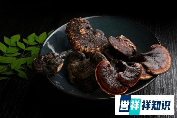 土耳其男子震后被埋,靠可乐续命134小时!