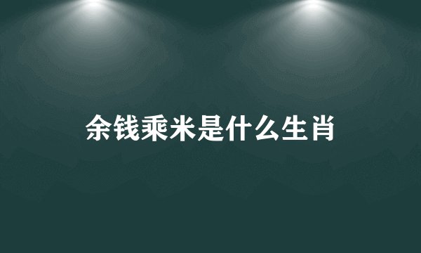 余钱乘米是什么生肖
