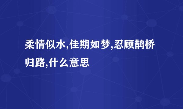 柔情似水,佳期如梦,忍顾鹊桥归路,什么意思