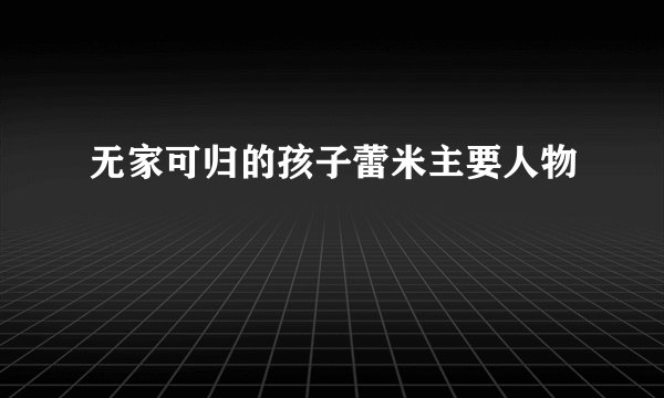 无家可归的孩子蕾米主要人物
