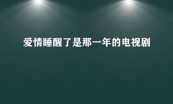 爱情睡醒了是那一年的电视剧