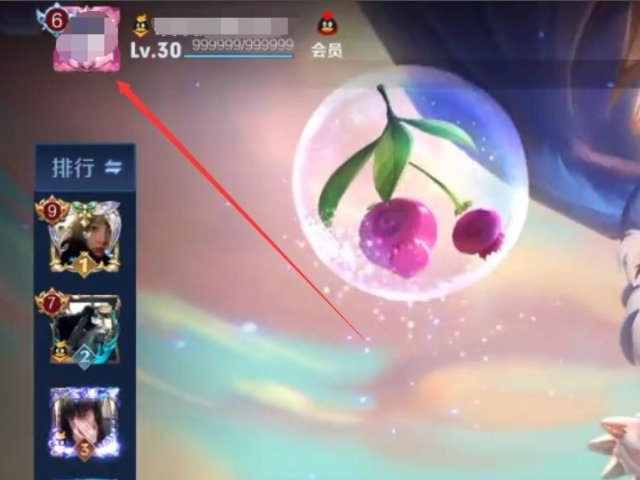《王者荣耀》为什么申请不了鹰眼护卫队?