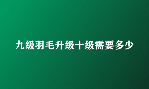 九级羽毛升级十级需要多少