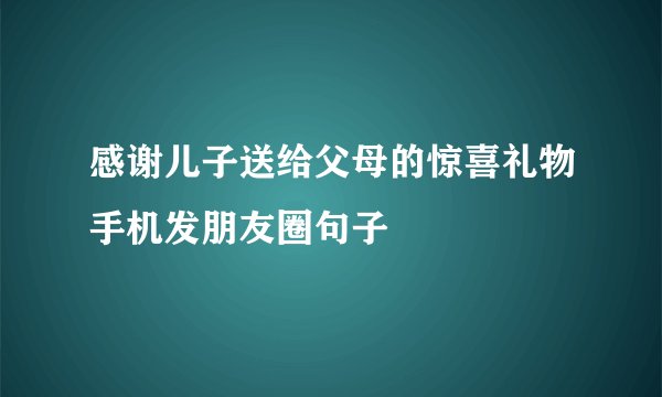 感谢儿子送给父母的惊喜礼物手机发朋友圈句子