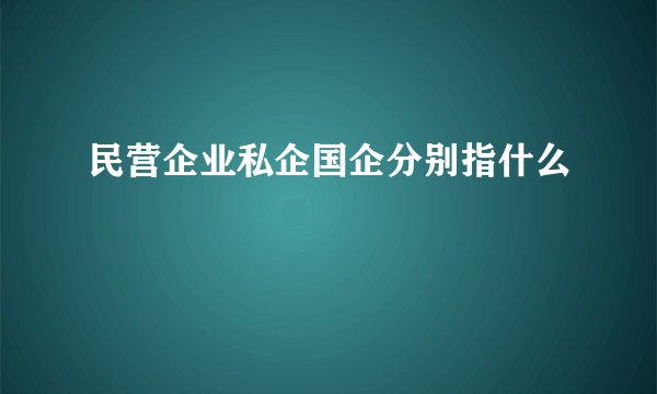 民营企业私企国企分别指什么