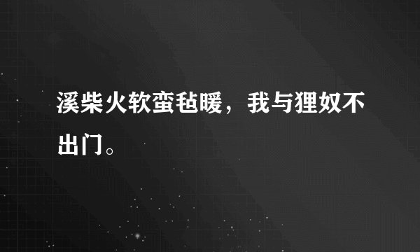 溪柴火软蛮毡暖，我与狸奴不出门。