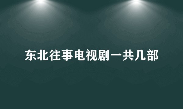 东北往事电视剧一共几部